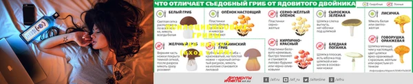 твердый Костерёво