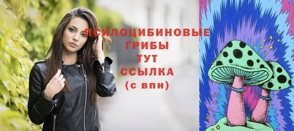 apvp Корсаков