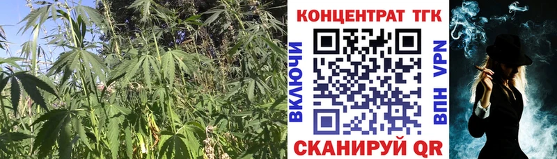 ТГК жижа  Купить где  Мещовск 