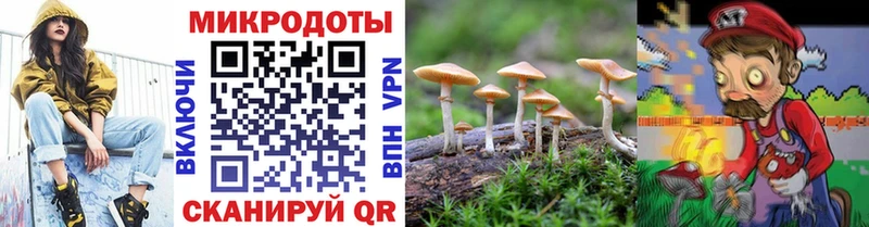 Галлюциногенные грибы Magic Shrooms  Купить где  Мещовск 
